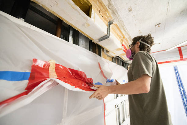Best Residential Mold Inspection & Testing  in Hampton, IA