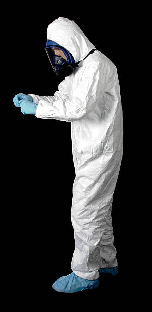 Best Industrial Mold Remediation  in Hampton, IA